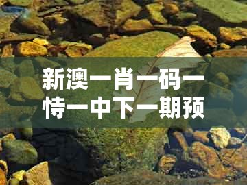 新澳一肖一码一恃一中下一期预测，虎、兔、猪、牛，及澳门一肖一马一中预测的小心不实推广策略-战略释义、专家解读解释与落实