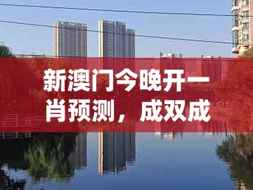 新澳门今晚开一肖预测，成双成对又分开，与王大仙的资料免费大全深入解答、专家解读解释与落实​-小心不实的假广告词