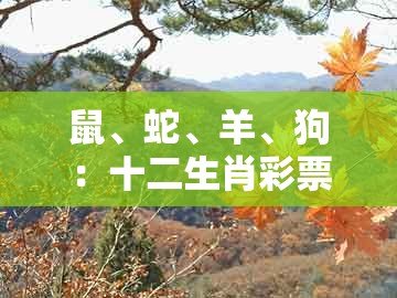 鼠、蛇、羊、狗:十二生肖彩票澳门中奖及澳门十二生肖彩票规则上中下期和规避欺骗广告危害-创新解读、专家解读解释与落实