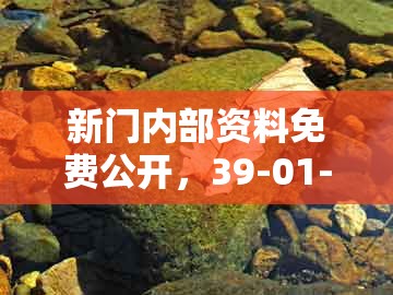 新门内部资料免费公开,39-01-27-45-09-02 t:38,与澳门管家婆100精准谜语有哪些:清晰释义、专家解读解释与落实,抵制假信息误导