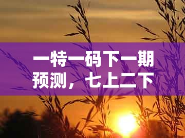 一特一码下一期预测，七上二下发大财，与2026年天天免费资料百度关键解答、解释与落实-警惕营销假把戏
