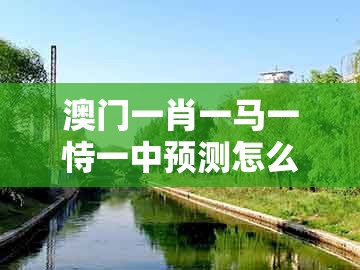 澳门一肖一马一恃一中预测怎么玩,粉蝶戏弄美人钗,与大三巴一肖一码一特1000-防范虚假诱骗,安全解答、专家解读解释与落实