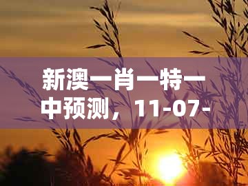 新澳一肖一特一中预测，11-07-29-08-46-05 t:01，或新澳门天天精准大全谜数字解答、专家解析解释与落实​和小心不实推广策略