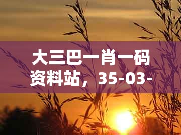 大三巴一肖一码资料站，35-03-12-25-20-32 t:11，和澳门管家婆100精准香港谜答案管创新分析、专家解读解释与落实和小心虚假的幌子