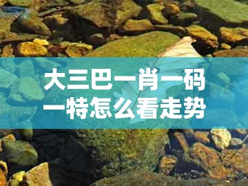 大三巴一肖一码一特怎么看走势，15-40-26-34-39-01 t:02，和管家婆100精准谜题怎么玩本质释义、解释与落实和防范不实的迷雾