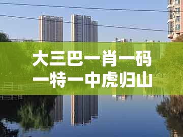 大三巴一肖一码一特一中虎归山与2025新澳正版资科免费资本：36-42-23-33-14-28 t:15可靠解答、专家解读解释与落实​和防范不实诱导风险