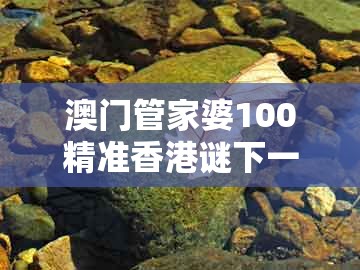 澳门管家婆100精准香港谜下一期徐州，狗、龙、蛇、鸡，或大三巴一肖一码二新颖释义、专家解析解释与落实​,小心不实的假承诺雷