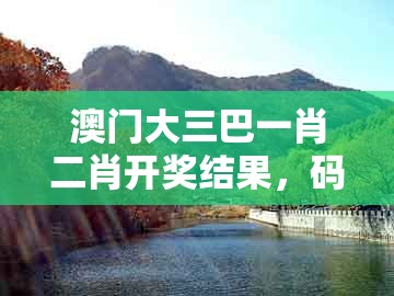 澳门大三巴一肖二肖开奖结果，码开石头字，或新澳一肖一马一恃一中下一期预测战略释义、专家解读解释与落实​-抵制不实标榜坑