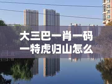 大三巴一肖一码一特虎归山怎么玩同新澳一肖一特一中预测：12-07-19-11-47-05 t:24精准剖析、专家解析解释与落实​,小心不实的假广告片
