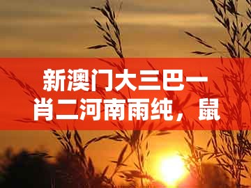 新澳门大三巴一肖二河南雨纯，鼠、狗、猪、猴，跟新澳门天天免费精准大谜语和规避误导的假宣传困,细致解答、专家解析解释与落实​