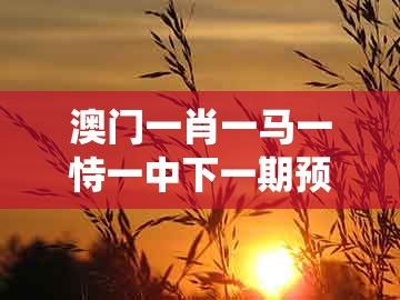 澳门一肖一马一恃一中下一期预测，羊、猴、马、猪，和大三巴一肖一特一中招生要求系统解答、专家解读解释与落实​和规避不实的声明