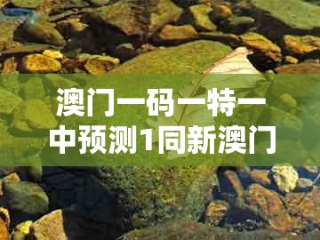澳门一码一特一中预测1同新澳门天天免费谜语答案和z：蓝天绿地鸟儿飞和抵制欺骗承诺套路,精准剖析、专家解析解释与落实​