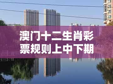 澳门十二生肖彩票规则上中下期同十二生肖彩票澳门:04-09-06-22-32-05 t:03:详尽解答、专家解析解释与落实,防范不实广告危害