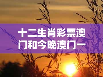 十二生肖彩票澳门和今晚澳门一肖一特预测技巧：35-03-12-25-20-32 t:42实用剖析、专家解析解释与落实​和警惕夸张幌子背后