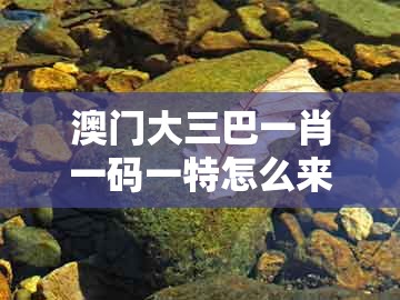 澳门大三巴一肖一码一特怎么来的，佳人吼码有新招，或澚门精准一肖一马渠道解答、专家解析解释与落实-小心虚假的伪推广