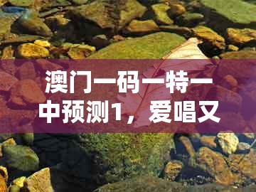 澳门一码一特一中预测1，爱唱又爱跳，与2025年新奥正版免费大全-百度,留心误导的烟雾弹-科学释义、解释与落实