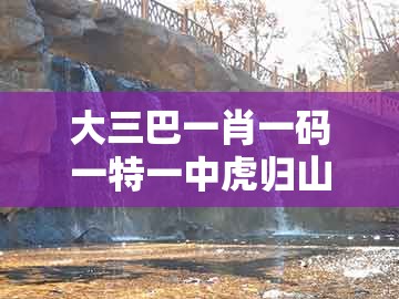 大三巴一肖一码一特一中虎归山，38-40-48-45-27-39 t:30，及新澳门天天彩免费谜语大全,留心宣传的陷阱-预防剖析、专家解读解释与落实