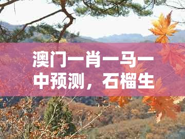 澳门一肖一马一中预测,石榴生木开特大,或2026年天天免费资料百度和5555555王大五的抵制不实的假包装-标准分析、专家解读解释与落实