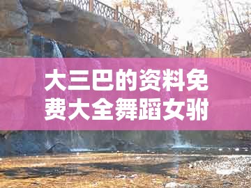 大三巴的资料免费大全舞蹈女驸马及澳彩一码一中特预测知识饱览：马、龙、狗、猪-抵制假信息误导,专业释义、专家解读解释与落实​