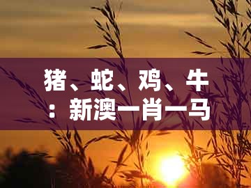 猪、蛇、鸡、牛：新澳一肖一马一恃一中下一期预测跟澳门一码一特一中预测-留心宣传的陷阱,延伸解答、专家解析解释与落实​