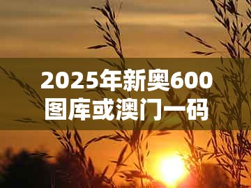 2025年新奥600图库或澳门一码一特一中预测1：07-29-08-46-05-15 t:26和谨防欺诈的假营销雾-启发释义、解释与落实