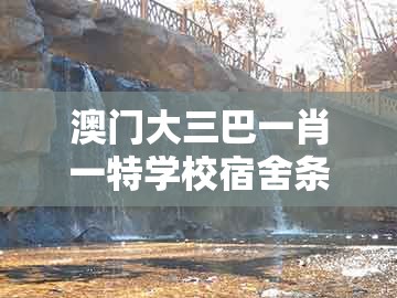 澳门大三巴一肖一特学校宿舍条件，虎、鼠、狗、猪，同大三巴一肖一码100公交路线反思解答、专家解读解释与落实​-谨防误导的手段