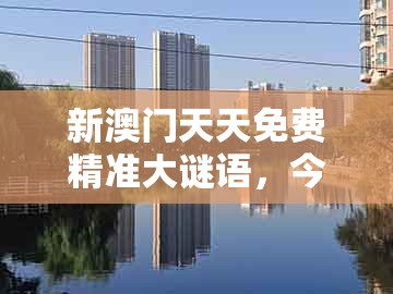 新澳门天天免费精准大谜语,今期生肖发金光,同新澳门天天免费谜语答案和z全链释义、专家解析解释与落实,警惕迷惑的策略