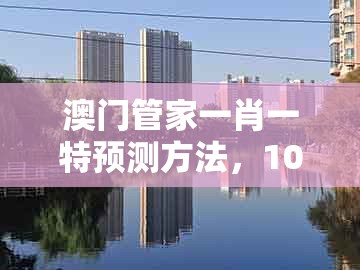 澳门管家一肖一特预测方法，10-02-17-12-07-19 t:44，同新澳门精准大全谜语千依百顺打一正-标准分析、解释与落实,抵制虚假渲染术