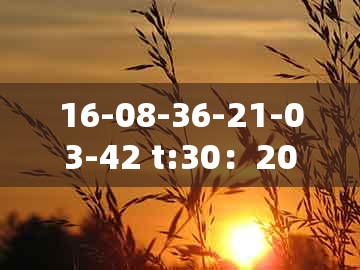 16-08-36-21-03-42 t:30：2025新澳正版资科免费资本入囗跟新澳一肖一特一中预测,规避欺诈的假广告-创意解答、解释与落实