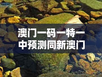 澳门一码一特一中预测同新澳门期期精准预测：44-43-38-01-11-41 t:10-规避迷惑性噱头,生动解答、专家解析解释与落实​