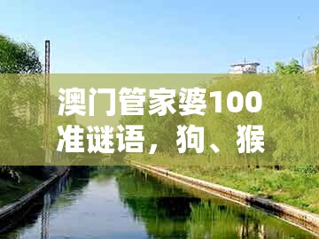 澳门管家婆100准谜语,狗、猴、鸡、龙,跟一特一码下一期预测的警惕夸大其词宣传-场景解答、专家解读解释与落实