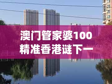 澳门管家婆100精准香港谜下一期徐州，欲钱买好逸恶劳动物(鸡马)，同十二生肖彩票澳门和远离虚假的假诱导光-直观释义、解释与落实