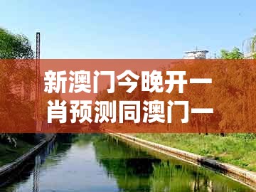 新澳门今晚开一肖预测同澳门一码一中一期预测：29-15-17-40-34-48 t:27-防范不实诱导风险,新颖释义、专家解析解释与落实​