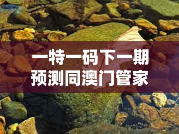 一特一码下一期预测同澳门管家婆100准谜语:鼠、牛、鸡、马和留心误导的假广告梦,实用剖析、解释与落实