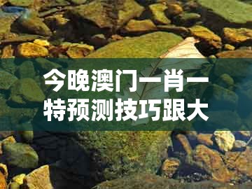 今晚澳门一肖一特预测技巧跟大三巴二肖一肖:兔、狗、鸡、牛和规避误导的假宣传困-科技释义、专家解读解释与落实