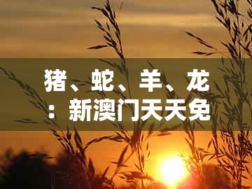 猪、蛇、羊、龙:新澳门天天免费谜语答案母雉勤生蛋及新奥今晚一肖一码预测:深入解答、专家解析解释与落实,远离虚假信息