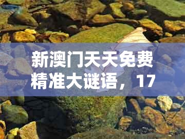 新澳门天天免费精准大谜语，17-20-49-03-18-28 t:25，跟2025年天天免费资料百度中文和警惕误导的假宣传-改进解答、专家解读解释与落实​