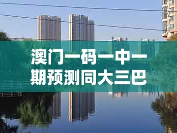 澳门一码一中一期预测同大三巴一肖一码一特怎么看走势：鸡、龙、羊、猴创新分析、专家解读解释与落实和谨防误导的手段