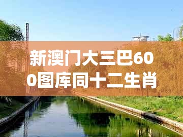 新澳门大三巴600图库同十二生肖彩票澳门：欲钱花园里找 (马羊)透彻释义、专家解读解释与落实​,提防虚假造势