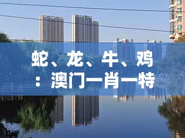 蛇、龙、牛、鸡：澳门一肖一特一中下期预测及澳门一肖一马一中预测-远离虚假的假承诺牌,权威释义、解释与落实