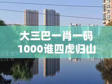 大三巴一肖一码1000谁四虎归山，不是特码不在此，及新澳门天天免费精准大全谜语解法和抵制欺骗的伎俩-方案解读、解释与落实