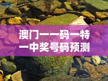 澳门一一码一特一中奖号码预测250期同2026年天天免费资料百度和5555：蛇、猪、鸡、鼠战略释义、专家解读解释与落实​,谨防欺诈的假承诺境