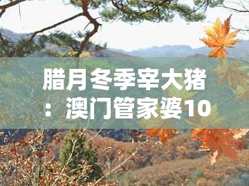 腊月冬季宰大猪：澳门管家婆100谁预测最准同澳门今晚开一肖一特一中预测和小心迷惑包装危害,预案解答、专家解析解释与落实